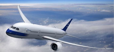 青島至辛辛那提門到門DDU運輸 晴川物流的無船承運業(yè)務(wù)解析